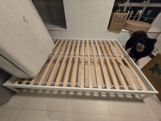 （分類：）位於 。 由 iramojo 提交（商品編號 1338799773，圖片 1）。簡介： 。