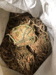 由 sammi_l (刊登 ID 1335648853，圖片 1) 提交，位於 的 (類別：)，說明：。