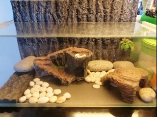 （分類：）位於 。 由 gigiyuen28 提交（商品編號 1338938377，圖片 1）。簡介： 。