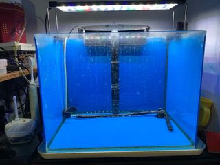 （分類：）位於 。 由 hkpcs 提交（商品編號 1338939473，圖片 1）。簡介： 。