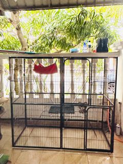 (Category: ) located in . Submitted by nunahaa (Listing ID 1338893146, Image 1). Description: .