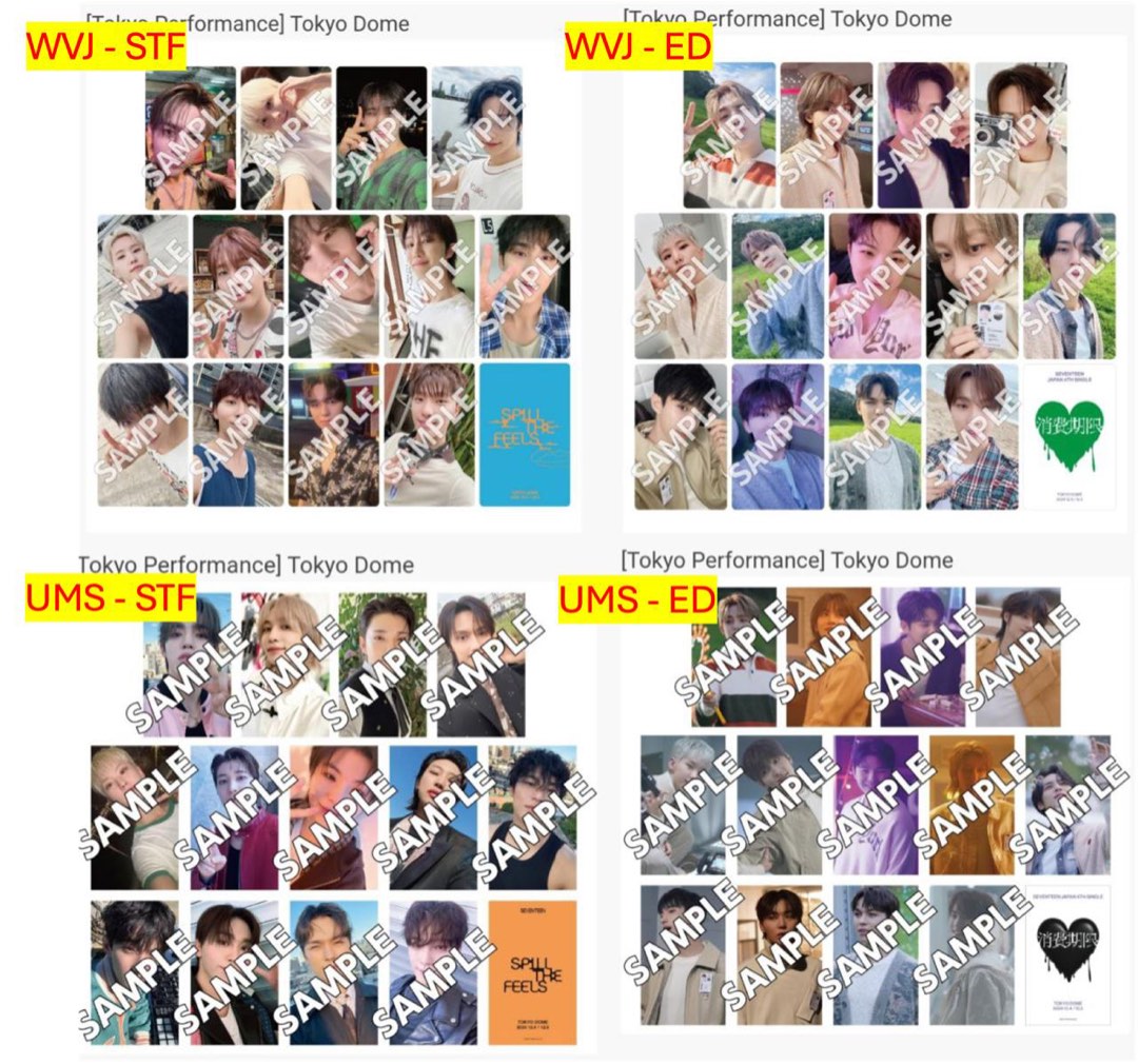 Seventeen Japan Dome Spill the feels expiration date PCs, Hobbies