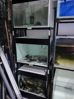 (Category: ) located in . Submitted by greenwing.farmer (Listing ID 1334335556, Image 1). Description: .