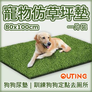（分類：）位於 。 由 gadgetinfinity 提交（商品編號 1334222691，圖片 1）。簡介： 。