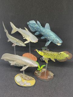 抵買