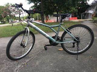 Carousel bike for sale top