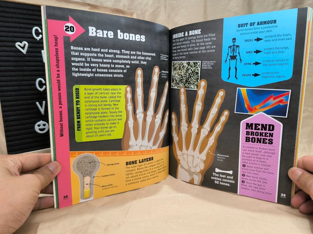DK: 50 Things You Should Know About the Human Body, Hobbies & Toys ...