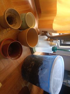 (Category: ) located in . Submitted by sssu1 (Listing ID 1334225526, Image 1). Description: .