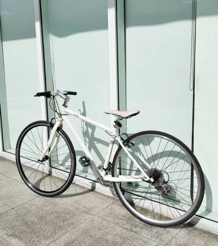 GIANT ESCAPE R3