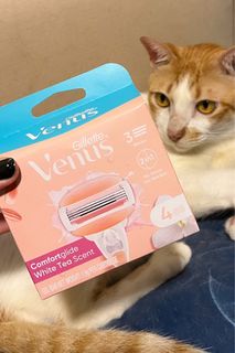 (Category: ) located in . Submitted by catcontentandmore (Listing ID 1334303561, Image 1). Description: .