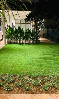 (Category: ) located in . Submitted by smclandscape (Listing ID 1334351864, Image 1). Description: .