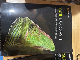 （分類：）位於 。 由 vasttree_867a44 提交（商品編號 1334234717，圖片 1）。簡介： 。