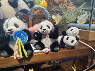 （分類：）位於 。 由 zetatradingco 提交（商品編號 1339091386，圖片 1）。簡介： 。