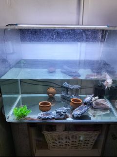 (Category: ) located in . Submitted by shanmuk9 (Listing ID 1339047105, Image 1). Description: .