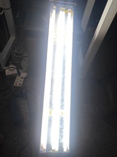 (Category: ) located in . Submitted by starlight_09 (Listing ID 1339020710, Image 1). Description: .