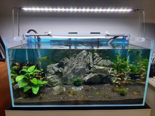 (Category: ) located in . Submitted by petsona (Listing ID 1339113824, Image 1). Description: .