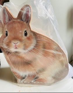 （分類：）位於 。 由 happy0051 提交（商品編號 1339059256，圖片 1）。簡介： 。
