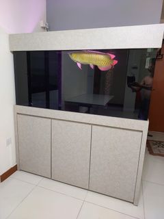 (Category: ) located in . Submitted by winstonkan (Listing ID 1339098901, Image 1). Description: .