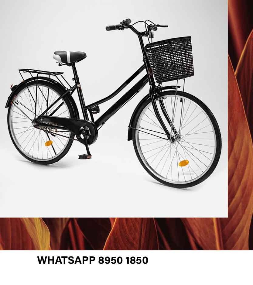 26 inch 1 Speed Lady Bike Black Women Bike City adult male commuter retro bicycle With