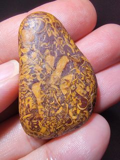 （分類：）位於 。 由 gobistone 提交（商品編號 1334428889，圖片 1）。簡介： 。