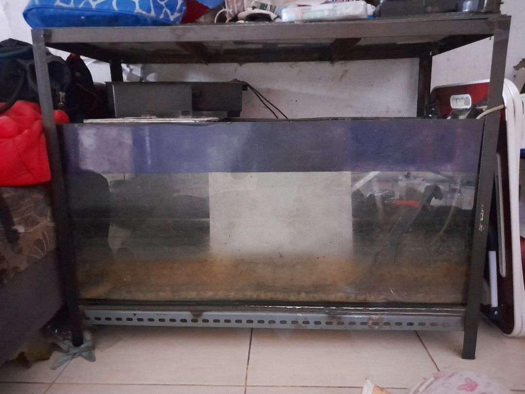 Aquarium (akuarium) take all