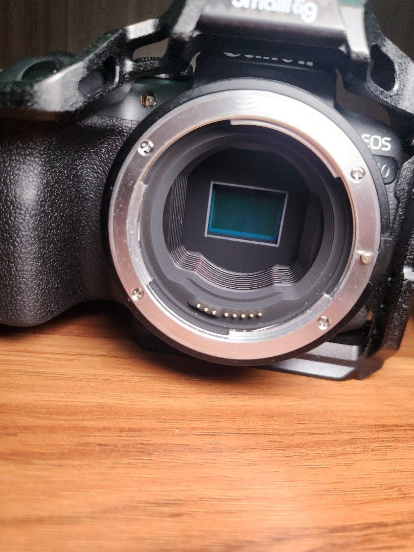 Eos R10 Rig Canon EOS R10 with Smallrig Cage, Photography, Cameras on Carousell