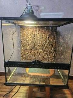(Category: ) located in . Submitted by carerowzell (Listing ID 1334476523, Image 1). Description: .