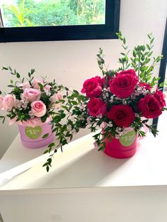(Category: ) located in . Submitted by gentlebreezeflorals (Listing ID 1334473492, Image 1). Description: .