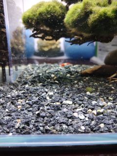 (Category: ) located in . Submitted by Bojjii (Listing ID 1334500305, Image 1). Description: .