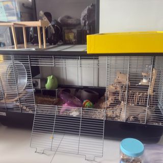 (Category: ) located in . Submitted by jham_resh (Listing ID 1334412725, Image 1). Description: .