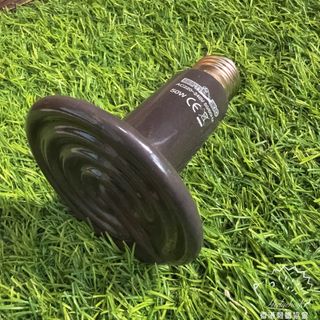 （分類：）位於 。 由 hongkonghedgehog 提交（商品編號 1334455106，圖片 1）。簡介： 。