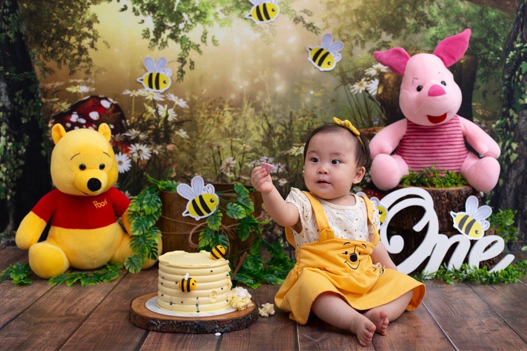 Pooh Bear Winnie The Pooh Baby Photoshoot Dress Winnie The Pooh
