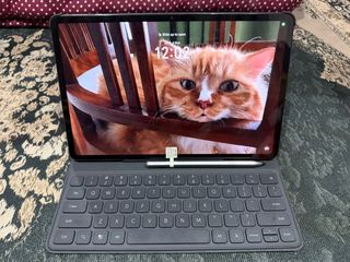 (Category: ) located in . Submitted by frdsnm (Listing ID 1334709140, Image 1). Description: .