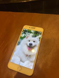 (Category: ) located in . Submitted by shellyshiz (Listing ID 1334658298, Image 1). Description: .