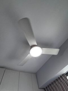 (Category: ) located in . Submitted by cfnext (Listing ID 1334594880, Image 1). Description: .
