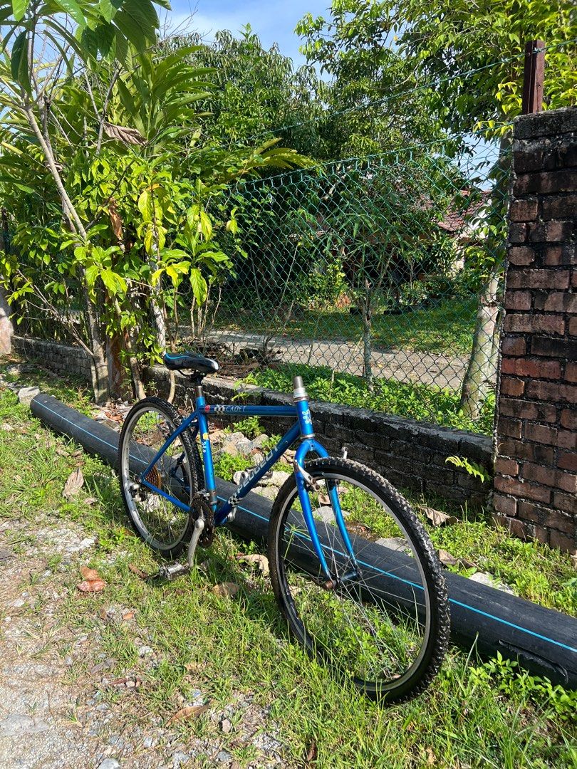 Peugeot cadet mountain bike outlet