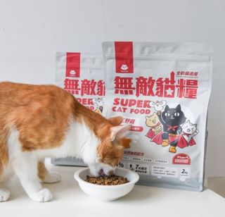 （分類：）位於 。 由 furrygoodday 提交（商品編號 1334708316，圖片 1）。簡介： 。
