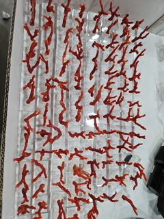 (Category: ) located in . Submitted by pnlartcrystals (Listing ID 1334585457, Image 1). Description: .