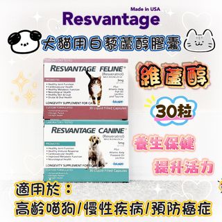 （分類：）位於 。 由 pettalkcompany 提交（商品編號 1049426857，圖片 1）。簡介： 。