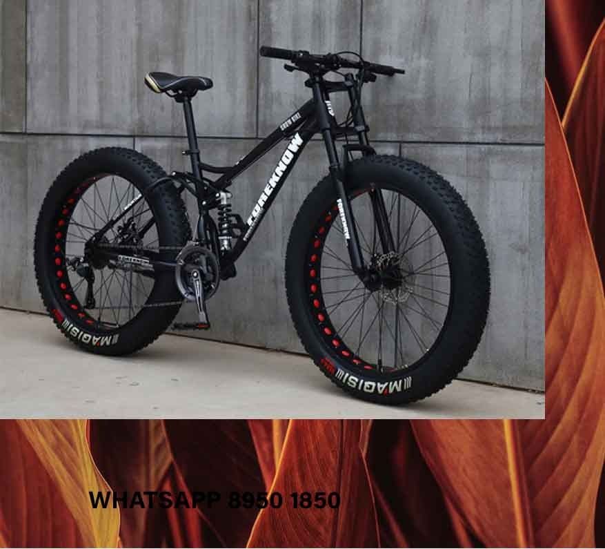 Foreknow fat tire bike online