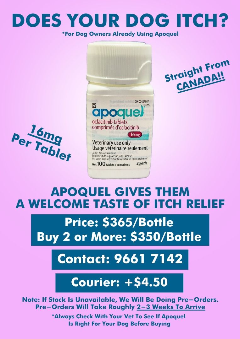 PRE ORDER Apoquel 16mg Full Bottle