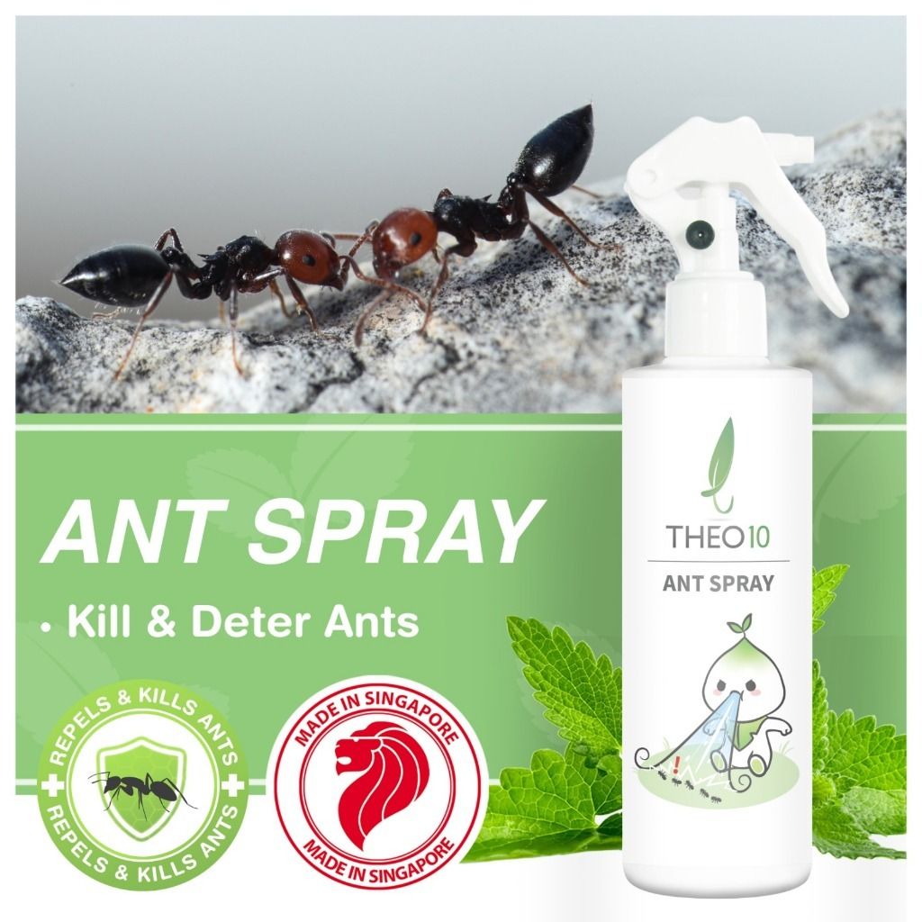 🇸🇬 Theo10 Ant Spray | Natural Safe Anti Deter Repel Ants Pest Control F&B  Office