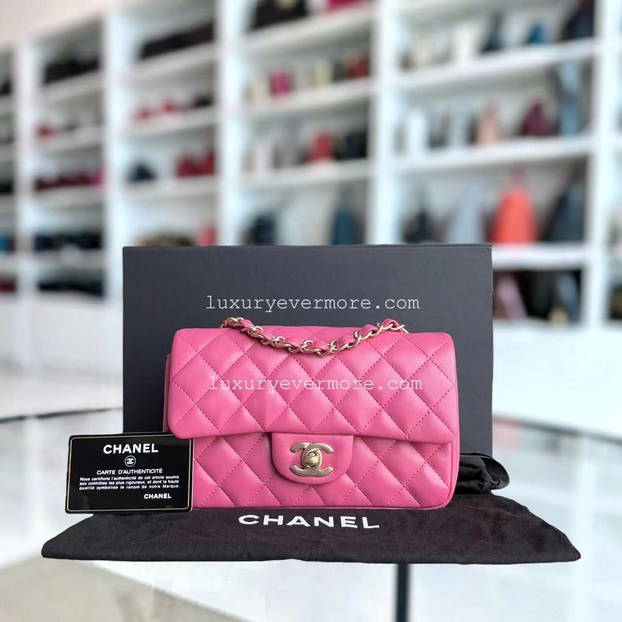 Chanel Classic Flap Mini 20CM Rectangle Quilted Lambskin Barbe Pink Gold Hardware Series 18