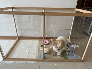 (Category: ) located in . Submitted by ccjjy (Listing ID 1334861874, Image 1). Description: .