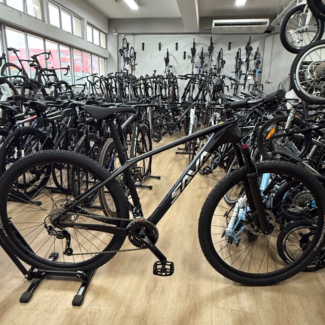 Savadeck 2.0 mountain bike 2025