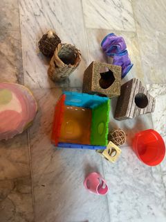(Category: ) located in . Submitted by beezaregood (Listing ID 1334916864, Image 1). Description: .