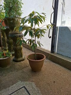 (Category: ) located in . Submitted by angd52 (Listing ID 1334938894, Image 1). Description: .