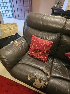 (Category: ) located in . Submitted by premiumeducators (Listing ID 1334915076, Image 1). Description: .