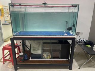 (Category: ) located in . Submitted by princessliew (Listing ID 1335156891, Image 1). Description: .