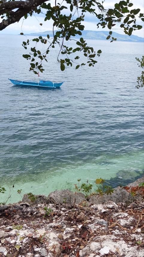Beachfront Property in Bingag, Dauis, Bohol (Category: Lot) located in Taguig. Submitted by thecamprealty (Listing ID 1335171821, Image 3). Description: Experience Luxury Beachfront Living! Discover an extraordinary opportunity to own a majestic beachfront property in the serene area of Bingag, Dauis, Bohol. Spread over a sprawling 5,996 sqm with a 100-meter beachfront, this property offers unparalleled opportunities for upscale residential devel